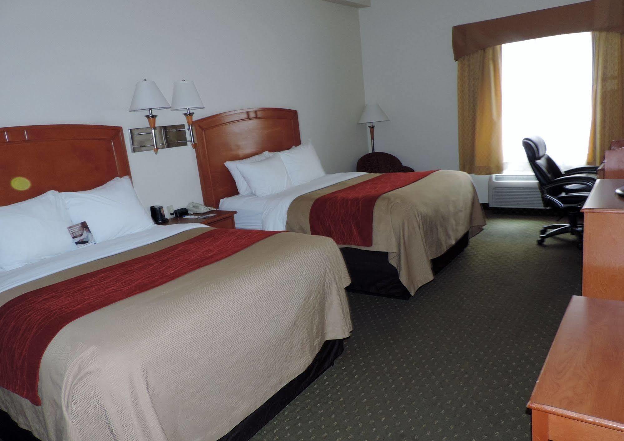 Comfort & Hotel