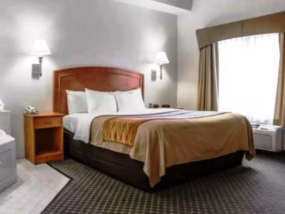 Comfort & Hotel