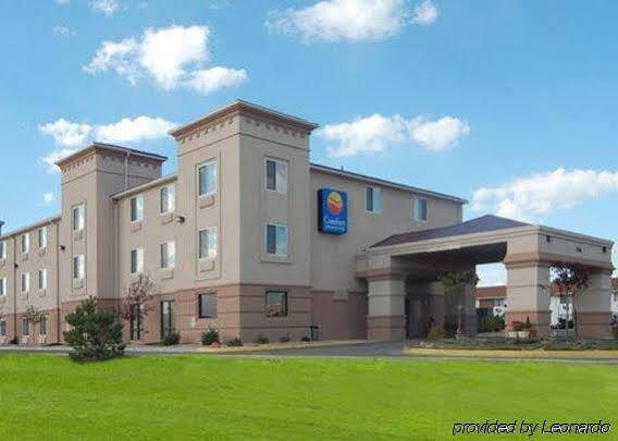 Comfort & Hotel